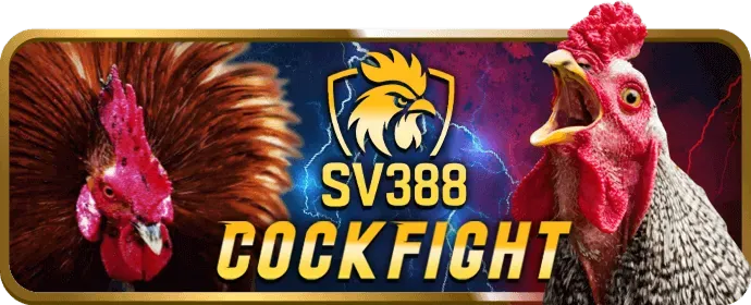 Lợi ích khi tham gia cá cược thể thao tại Vin68